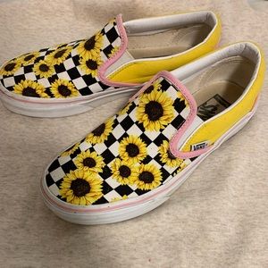 UNIQUE CUSTOM VANS (EXCELLANT CONDITION!)